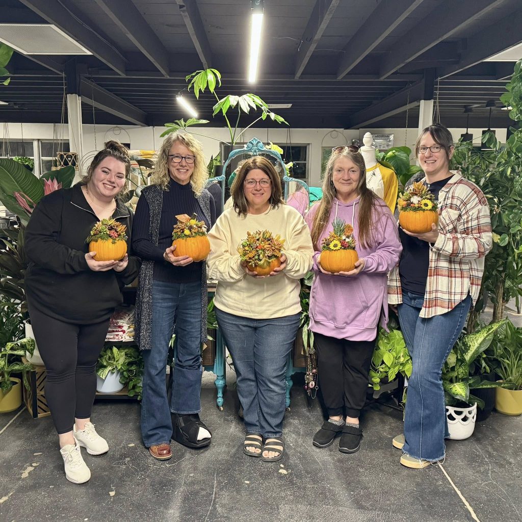 Pumpkin Succulent Group Photo